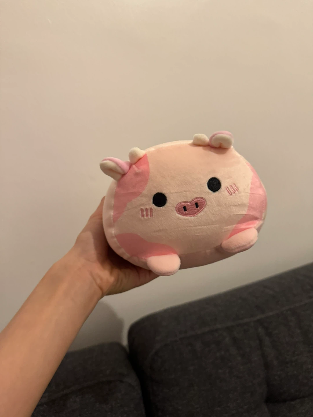 Pink Pig Plush Toy
