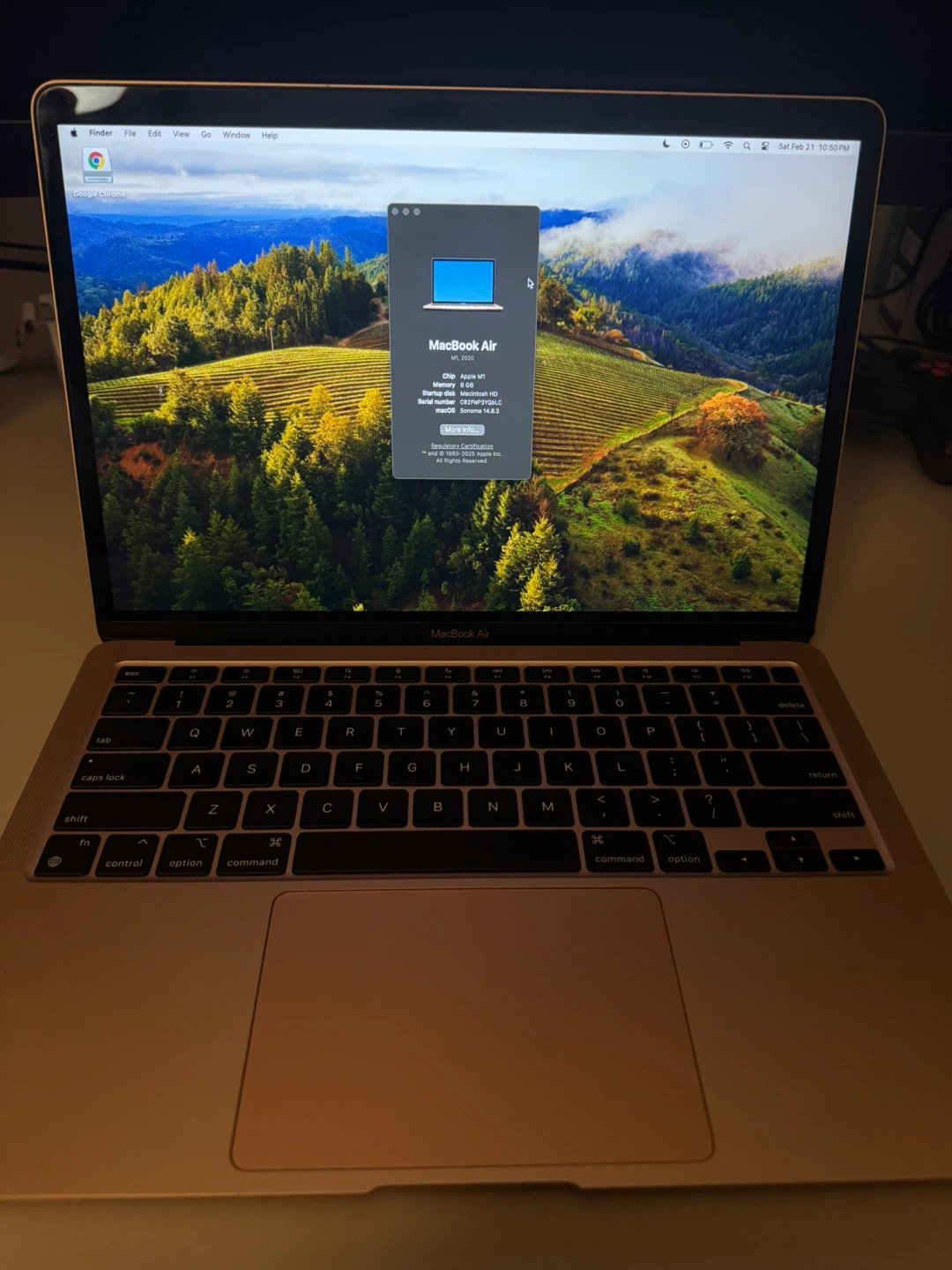 Rose Gold Macbook Air 2020