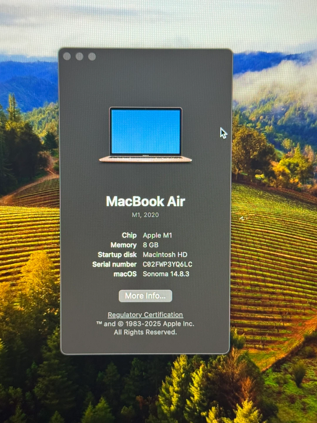 Rose Gold Macbook Air 2020 - photo 2