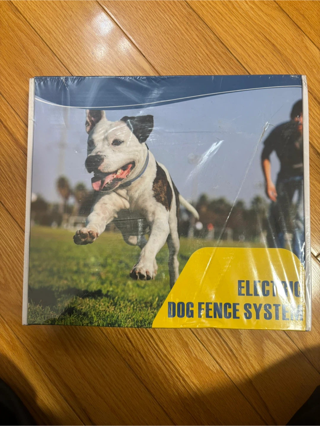 Electronic Dog Fence System