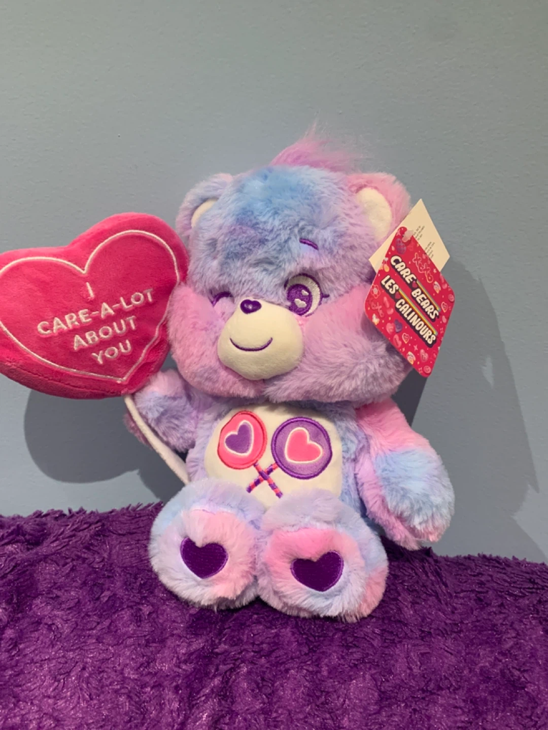 Care Bears "I Care-A-Lot About You" Plush Toy