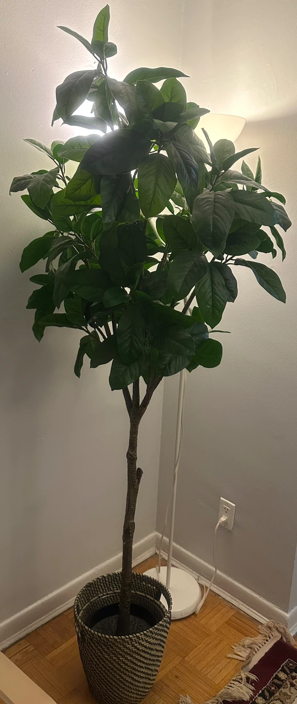 Artificial Fiddle Leaf Fig Tree in Basket