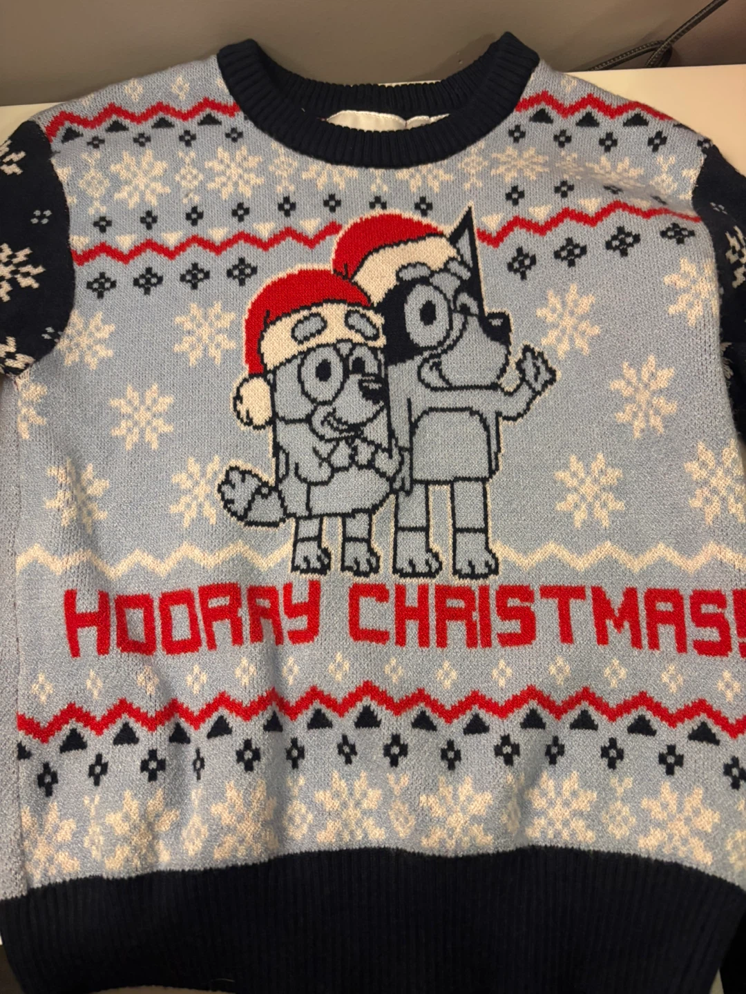 Bluey Christmas Sweater