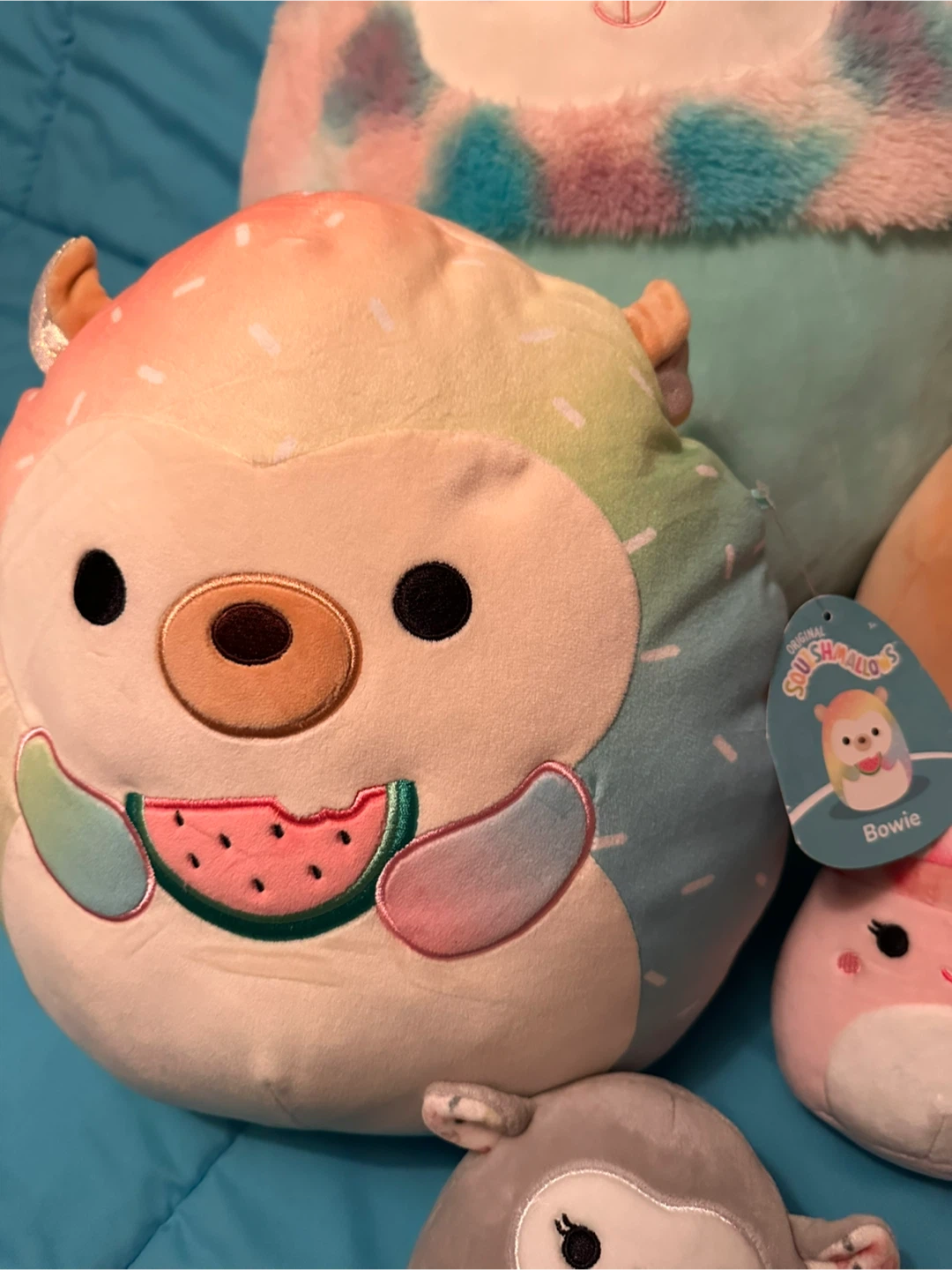 Squishmallows Plush Toys - Multiple Characters Available - photo 3