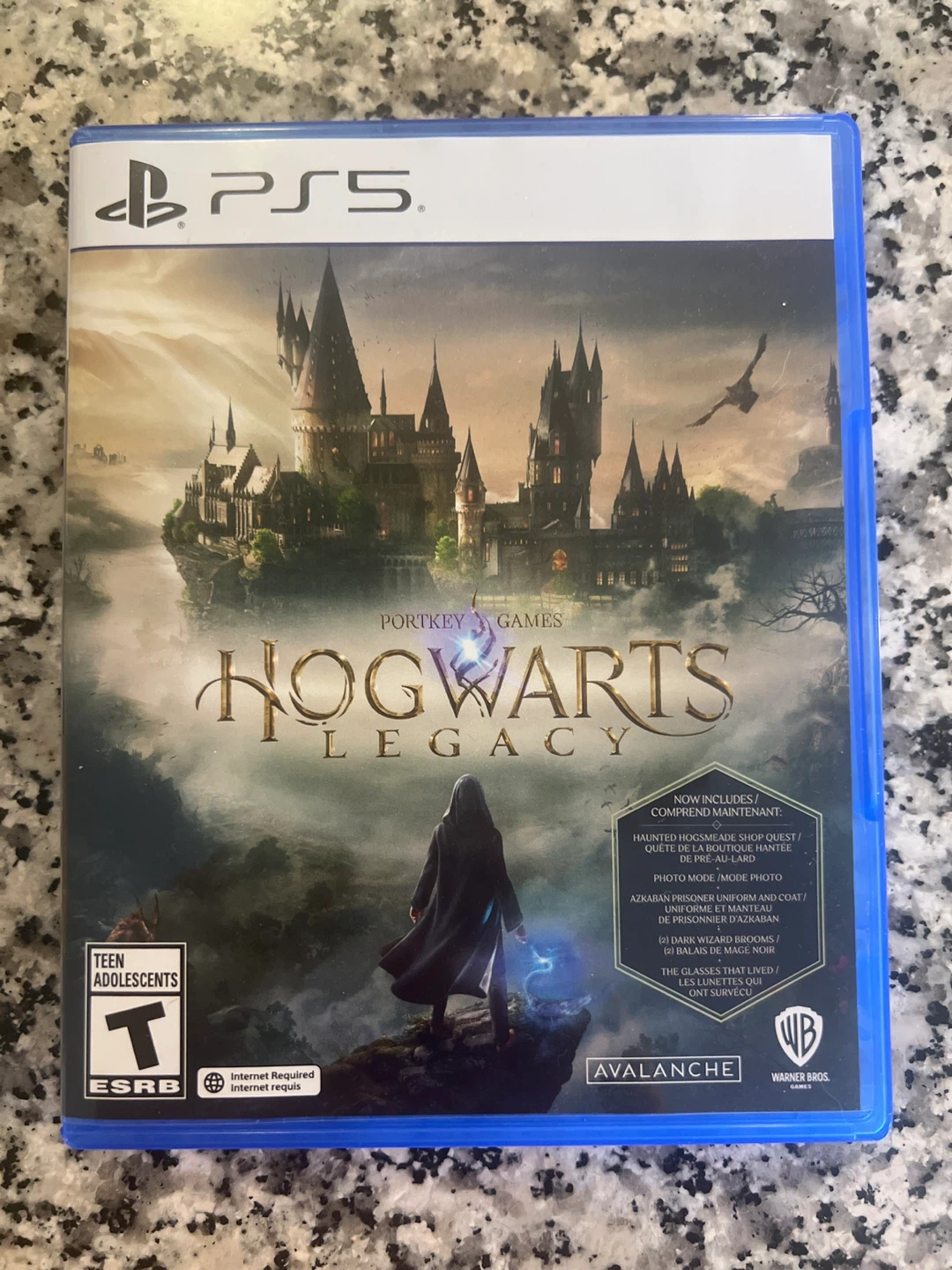 PS5 Hogwarts Legacy Video Game