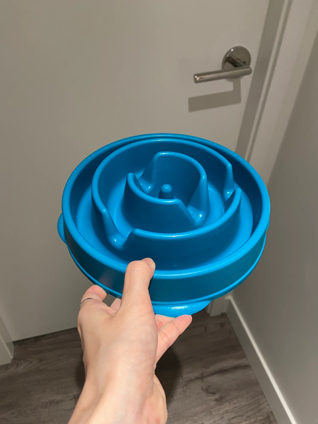 Slow Feeder Dog Bowl