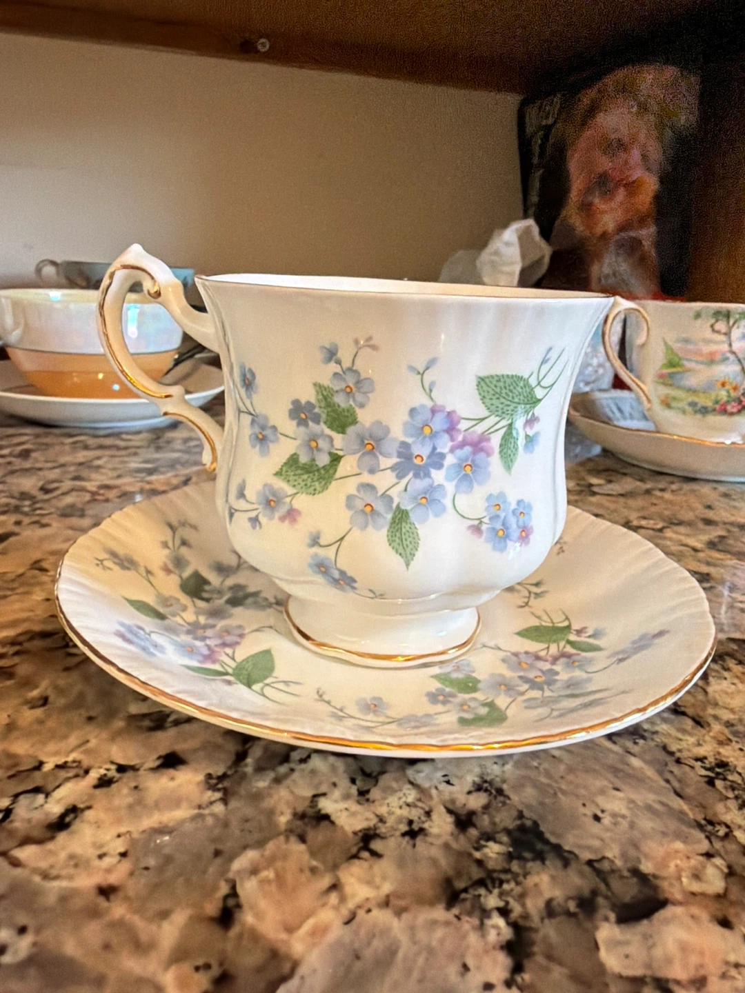 Paragon Forget Me Not Tea Cup and Saucer