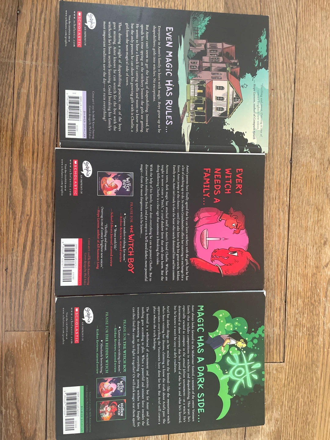 The Witch Boy Series by Molly Knox Ostertag - 3 Books - photo 2