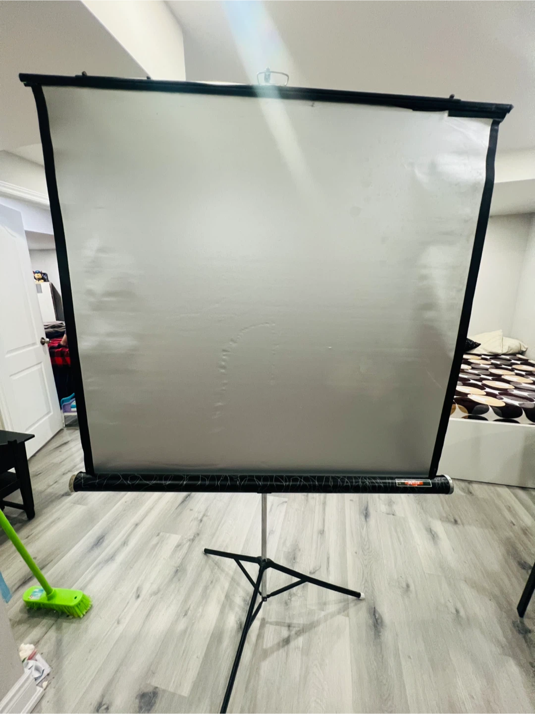 Eaton's Optima Projector Screen