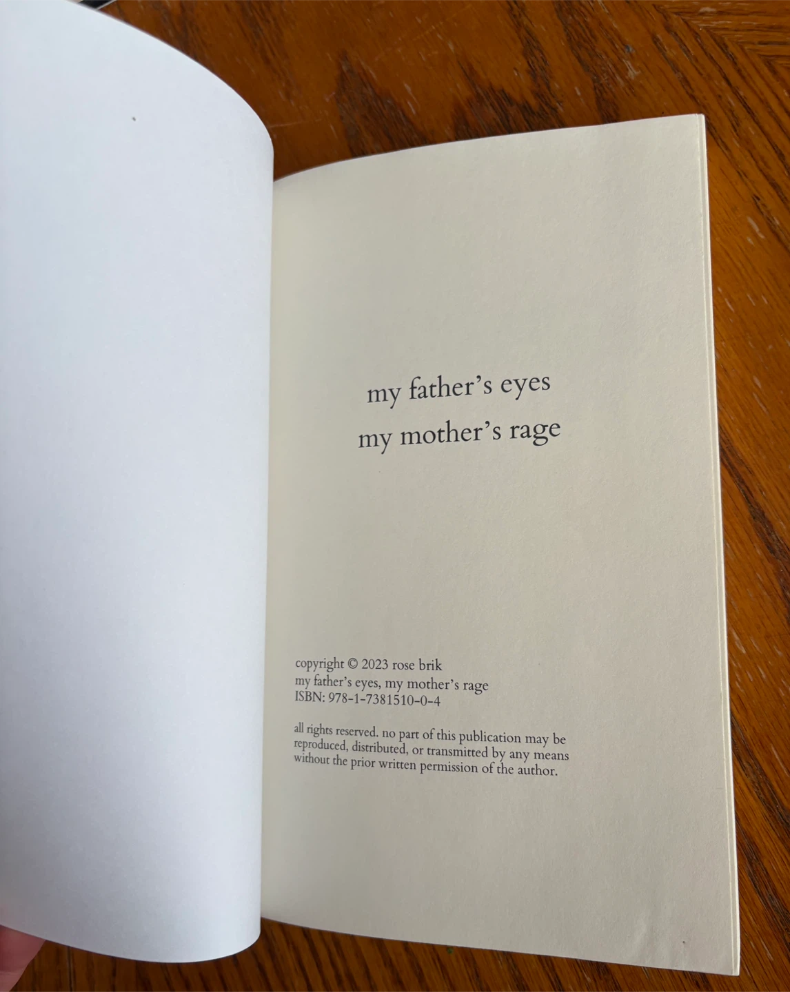 Poetry book: My Father's Eyes, My Mother's Rage by Rose Brik - photo 2
