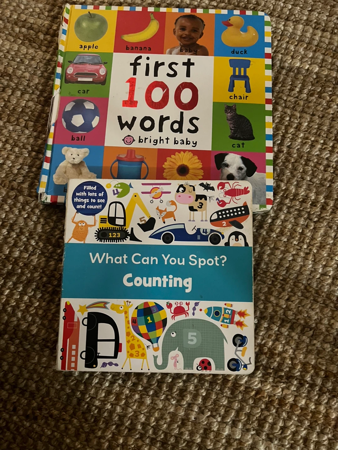 First 100 Words & What Can You Spot? Counting Books