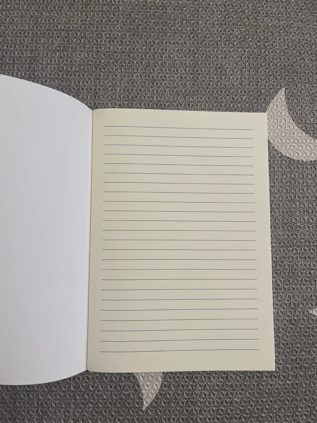 🥕Notebook - photo 2