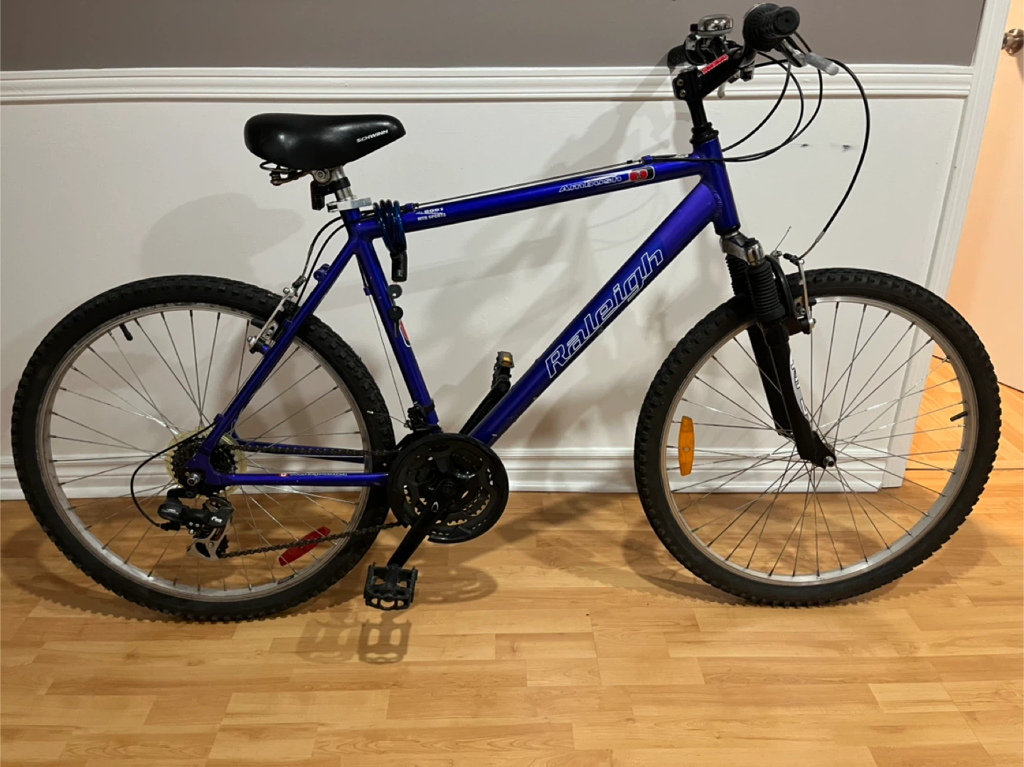 Raleigh Mountain Bike