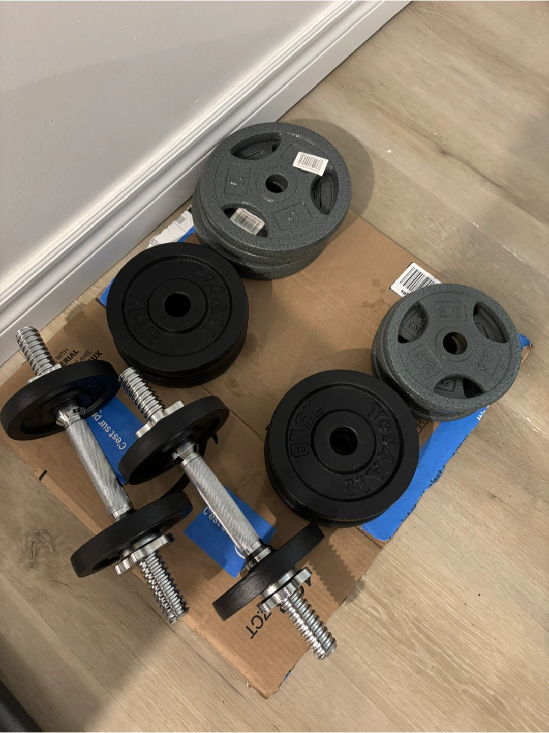 Adjustable Dumbbell Set with Weight Plates