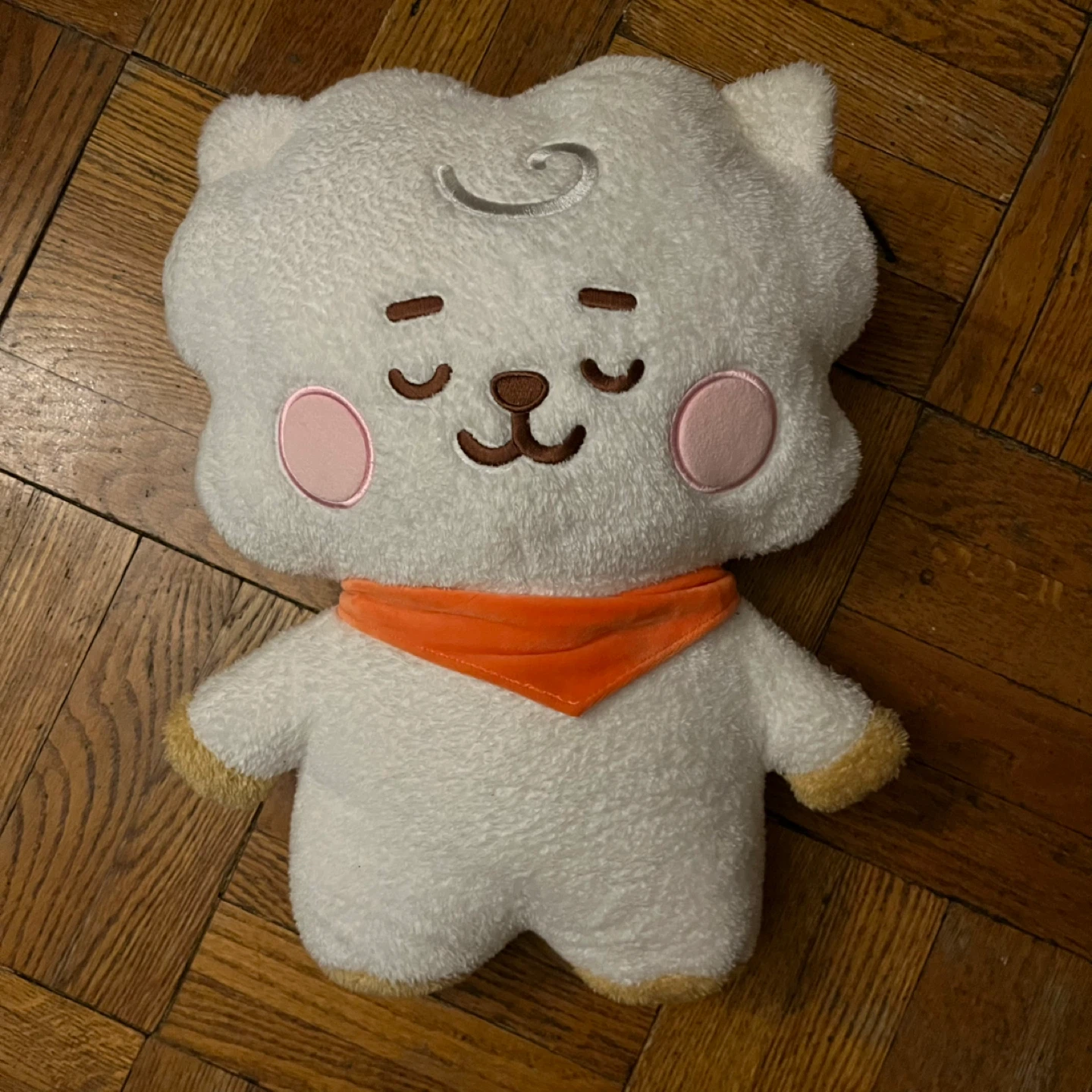 BT21 Sleeping RJ Plush