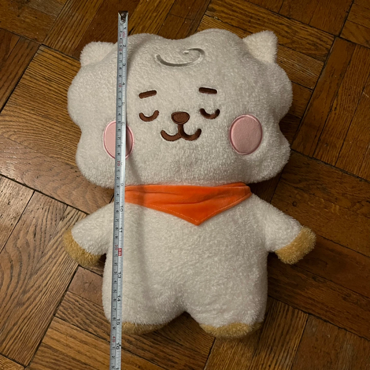 BT21 Sleeping RJ Plush - photo 4
