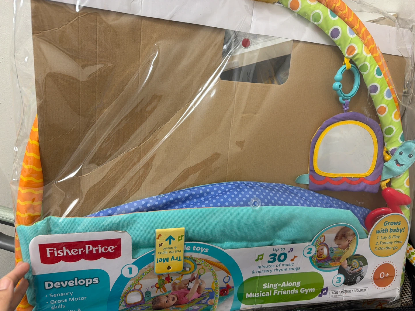 Fisher-Price Sing-Along Musical Friends Gym - photo 2