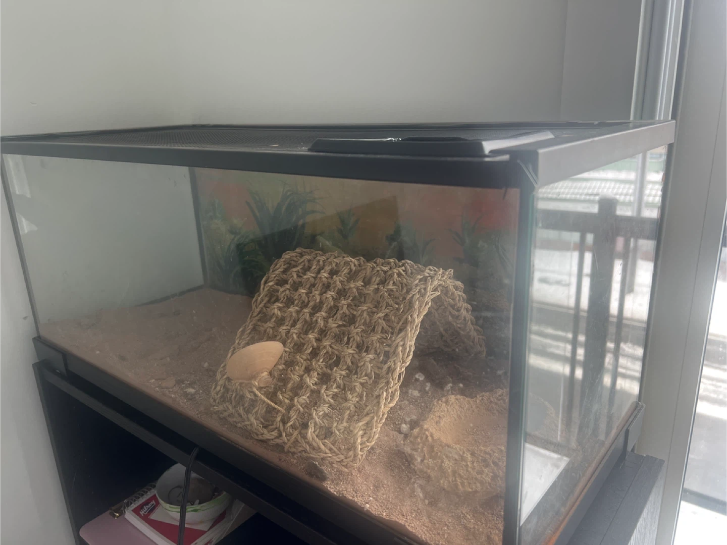 Terrarium