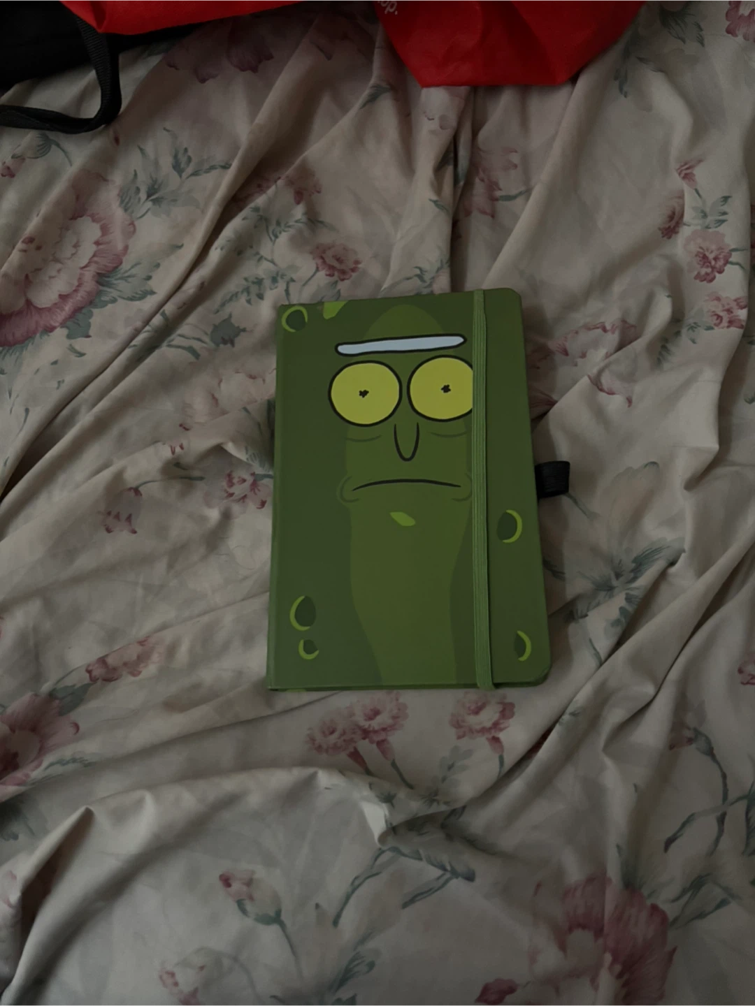 Rick and Morty Pickle Rick Notebook