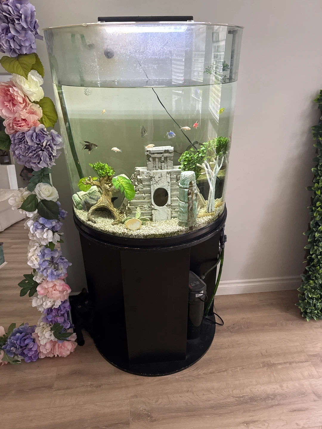 Bow front fish tank and stand