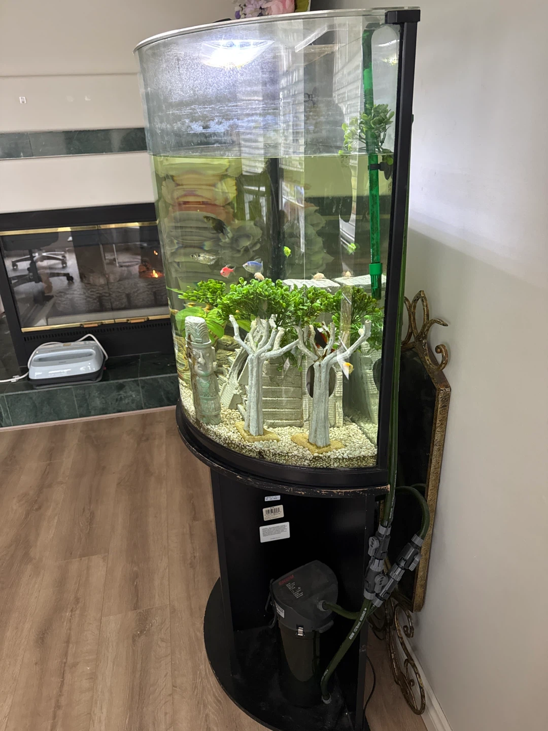 Bow front fish tank and stand - photo 2