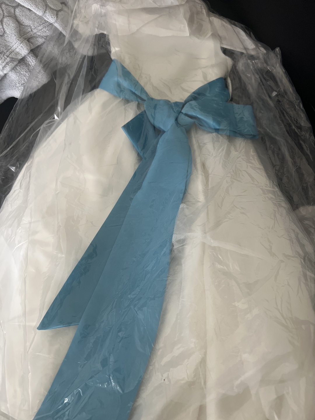 Tiana Special Occasion Dress Flower girl dress