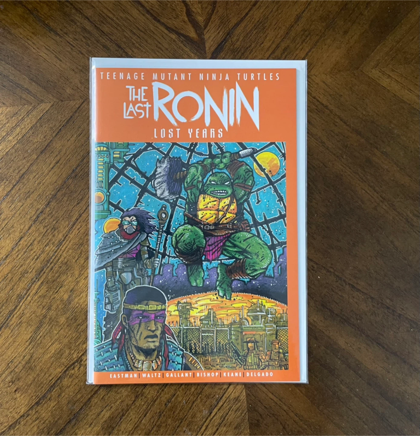 Teenage Mutant Ninja Turtles: The Last Ronin - Lost Years Comic