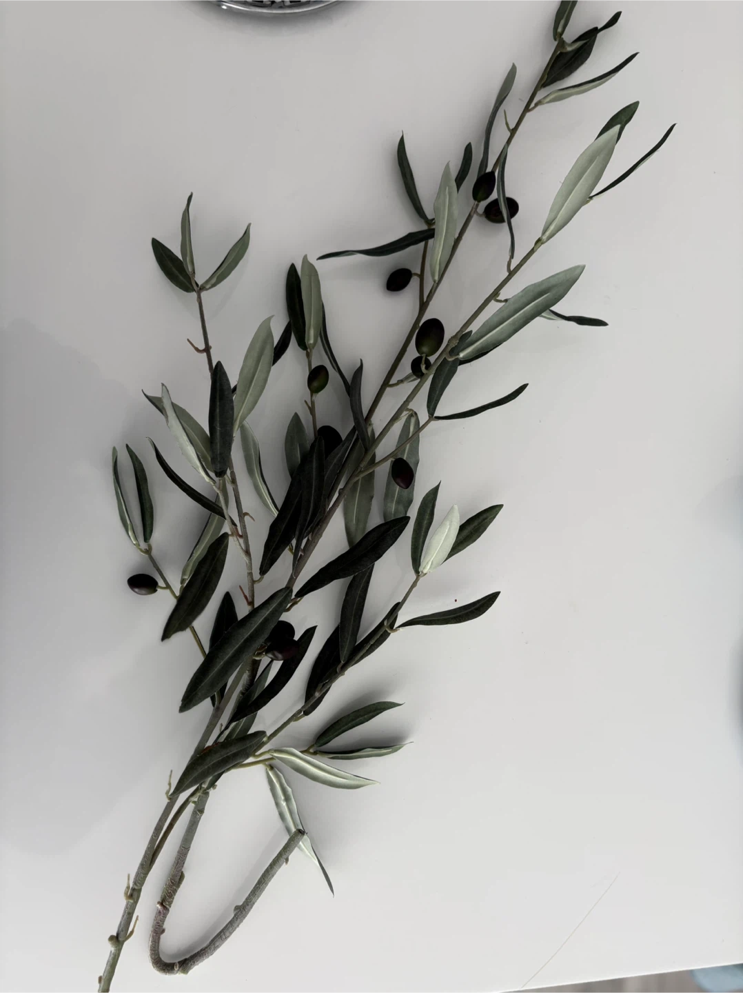 Faux Olive Branch 🥕