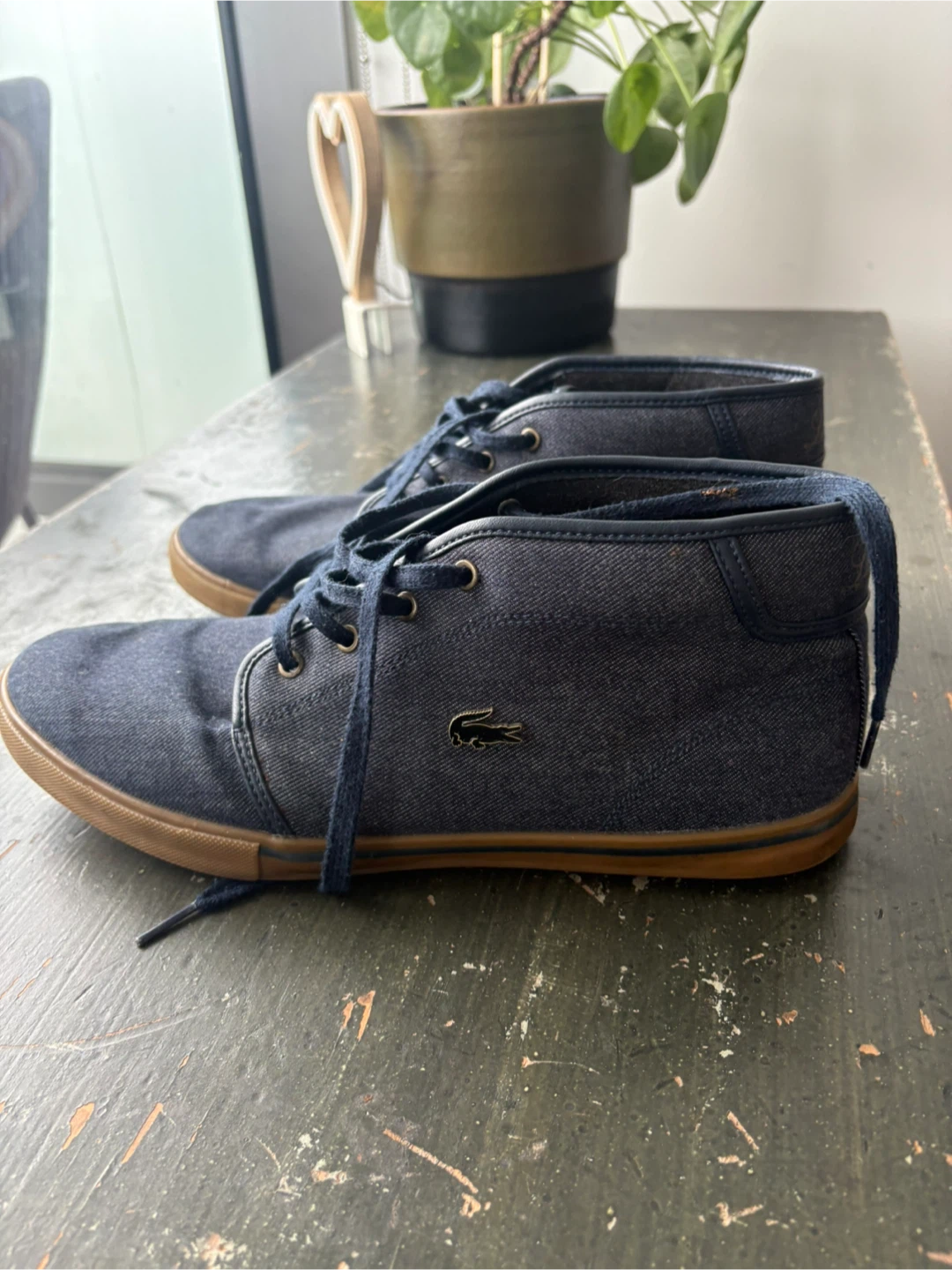 Lacoste Men's Boots