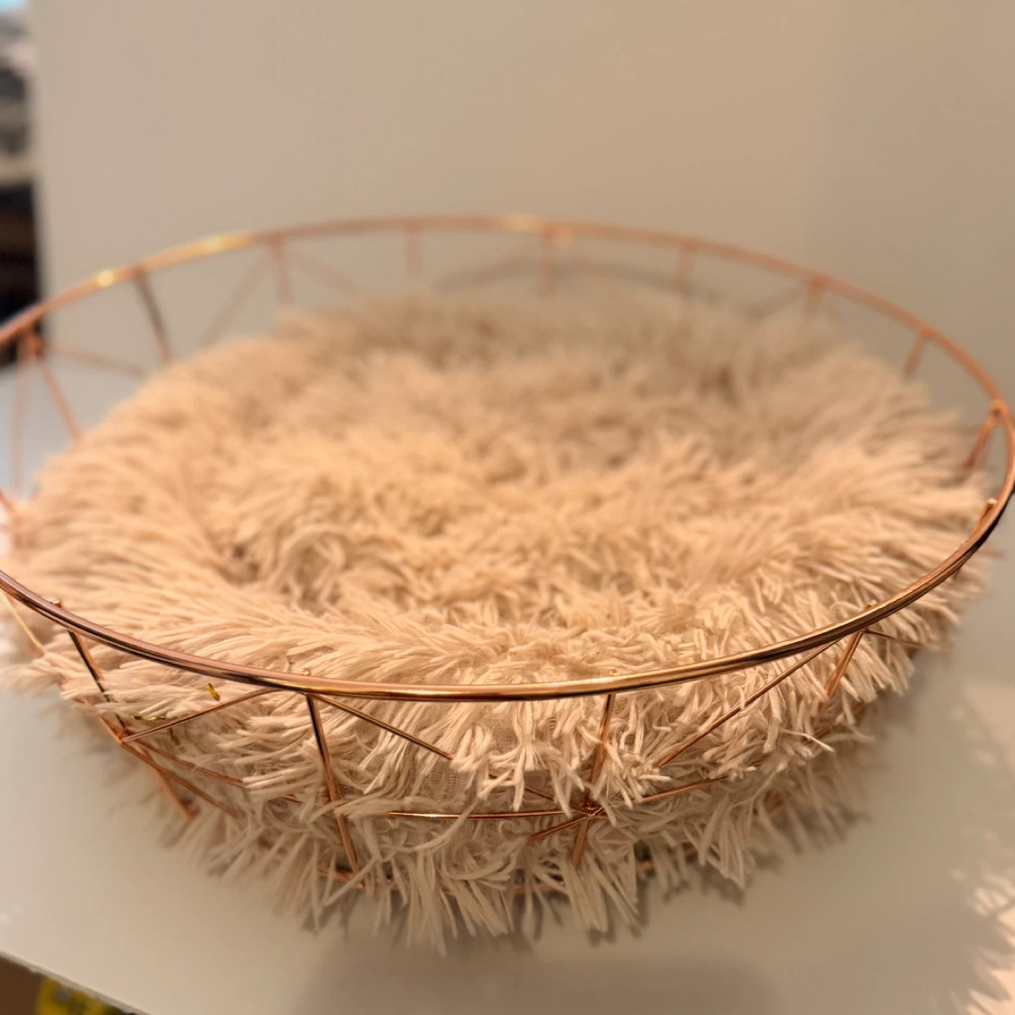 Dexypaws Rose Gold Cat Bed (new | unused)