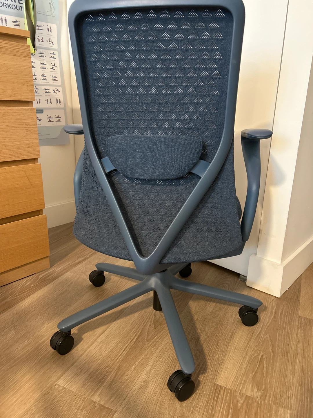 Branch Verve Office Chair - Blue - photo 3