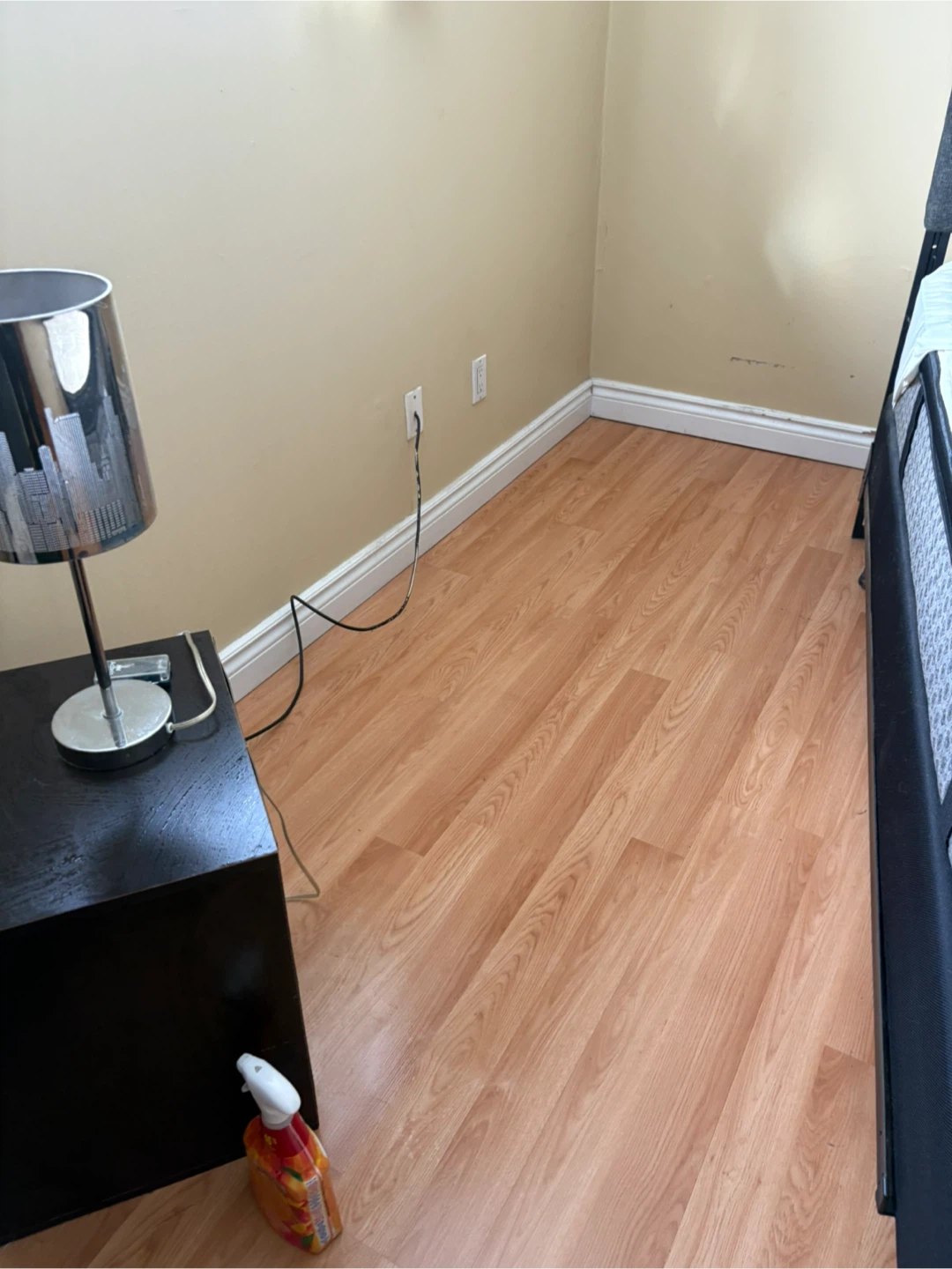 Need a cleaner I got you - photo 5