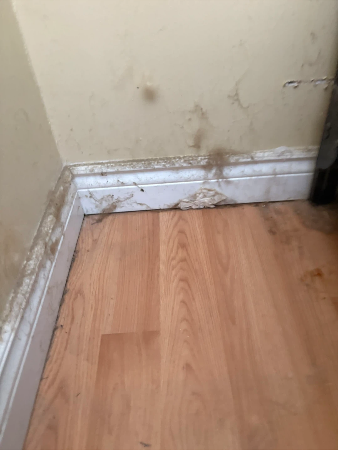 Need a cleaner I got you - photo 4