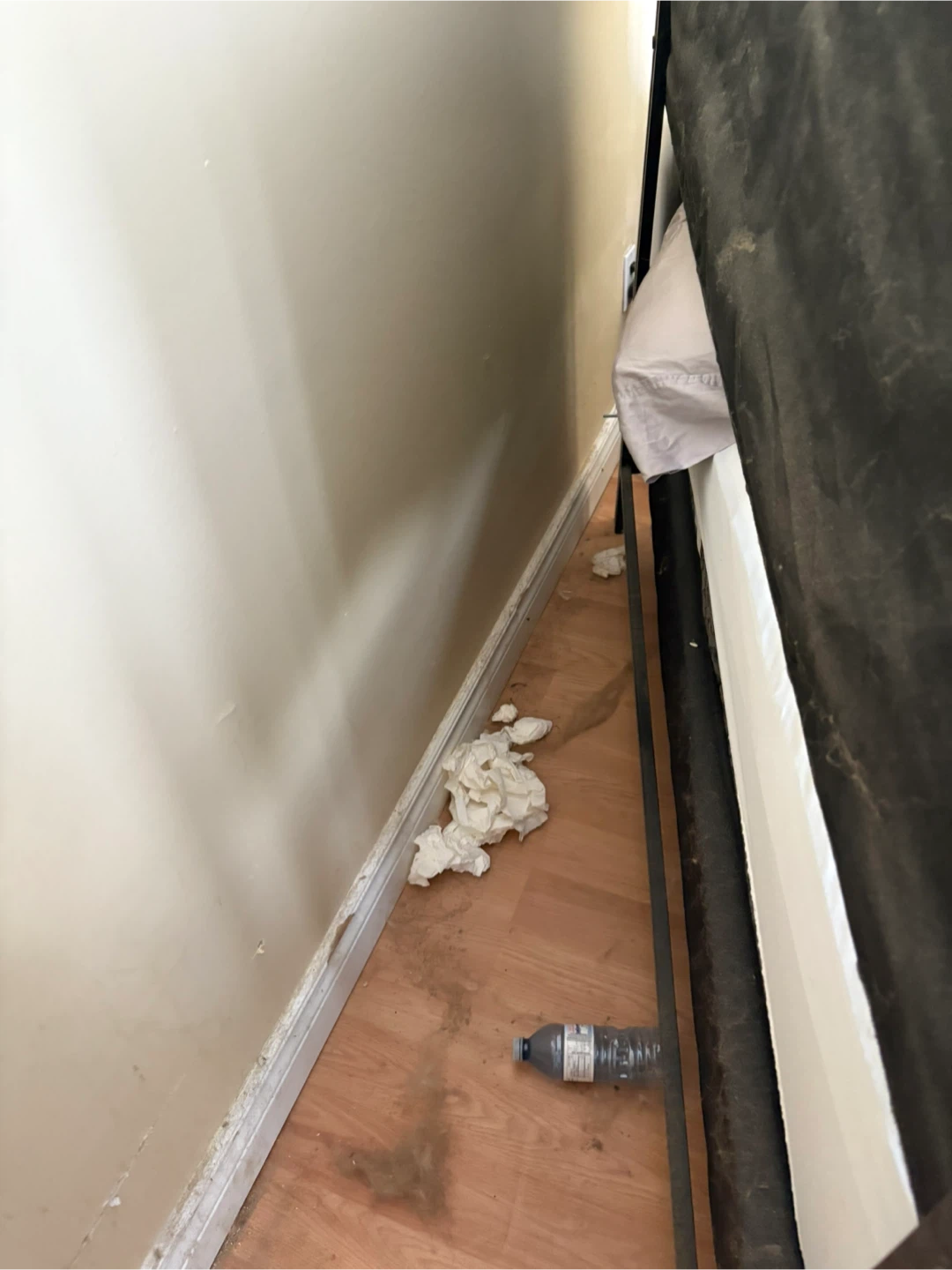 Need a cleaner I got you - photo 3