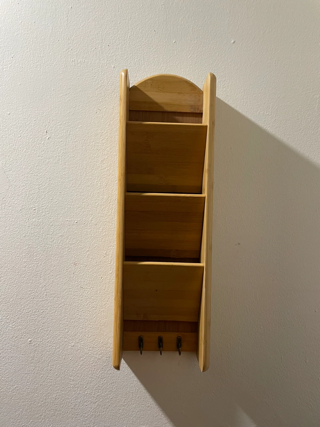 🥕 Wall Organizer with 3 Hooks