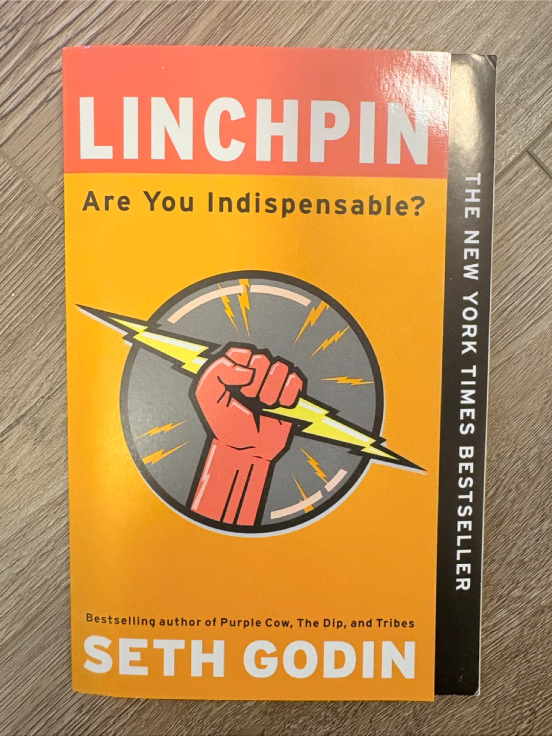 Linchpin: Are You Indispensable? by Seth Godin