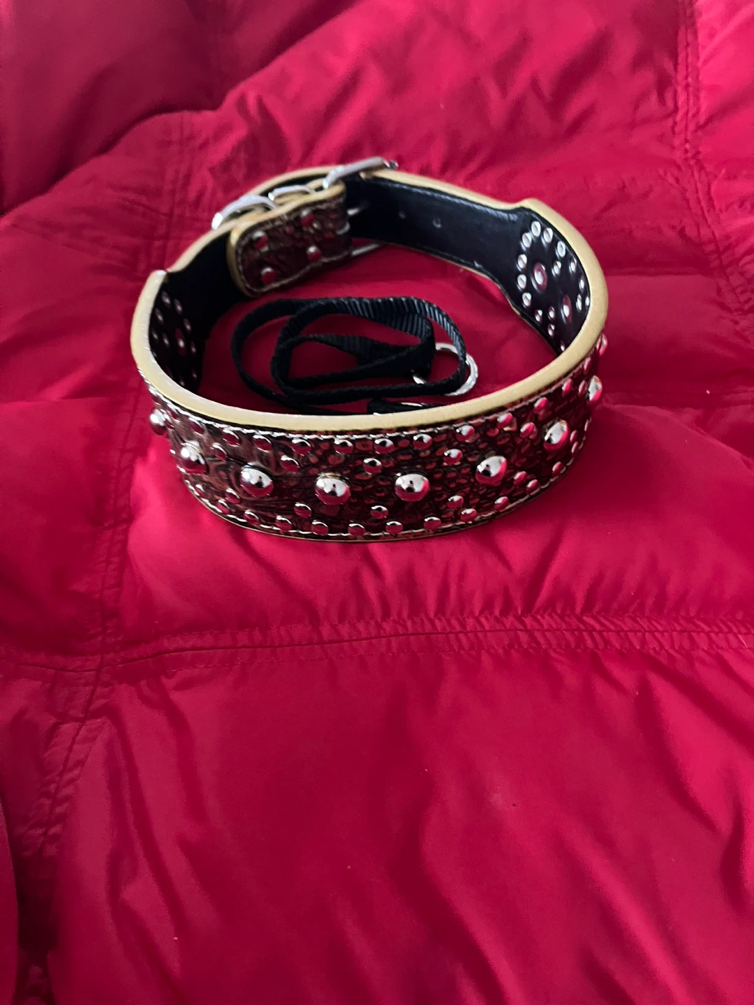 Studded leather Dog Collar 2 In W& 24 in long