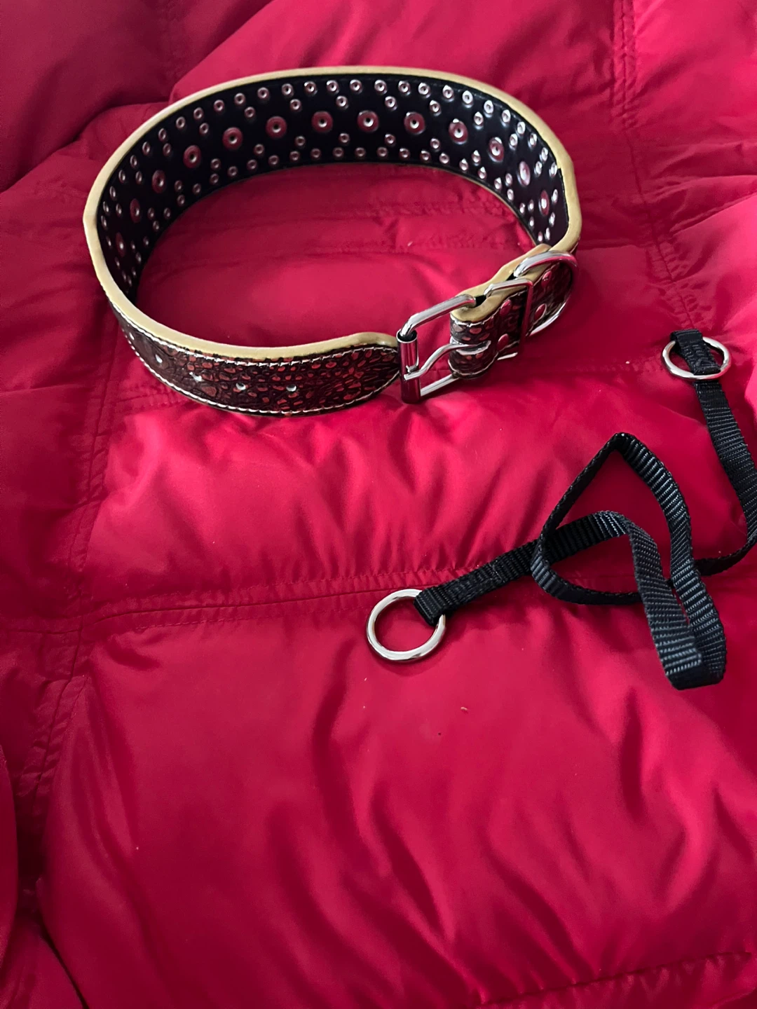 Studded leather Dog Collar 2 In W& 24 in long - photo 3