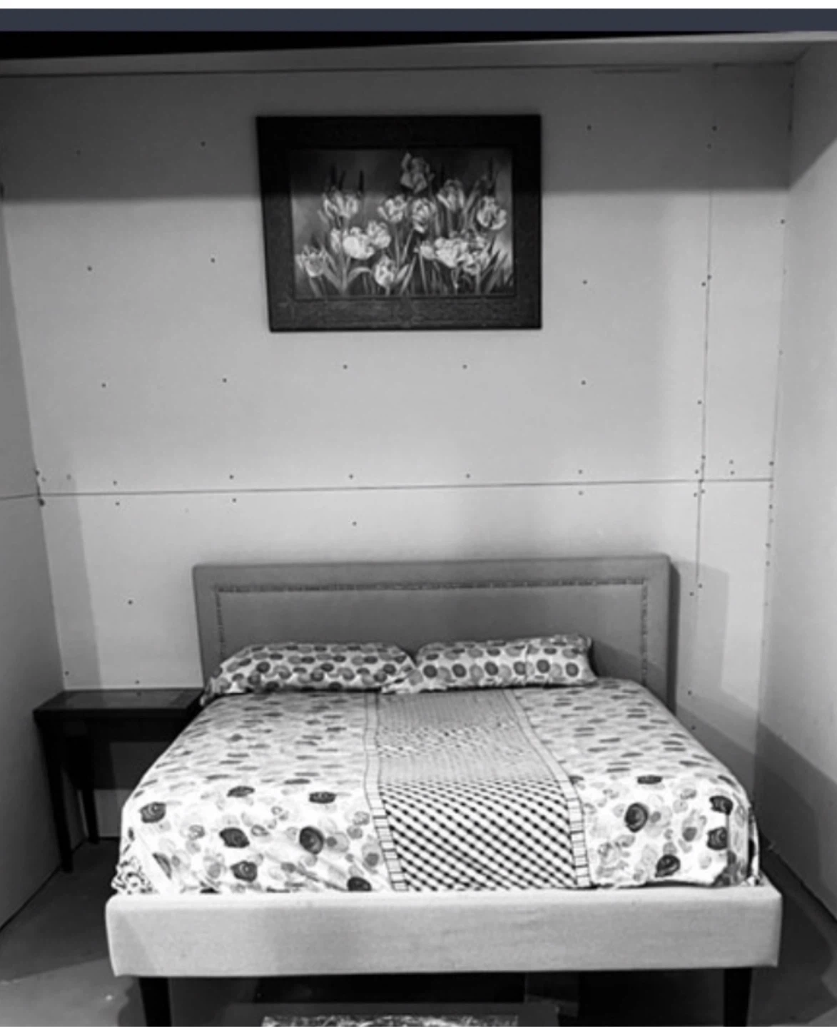 Queen mattress $225. Frame $185. Delivery $20