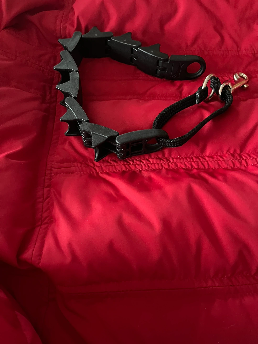 Starmark Pro-Training Dog Collar