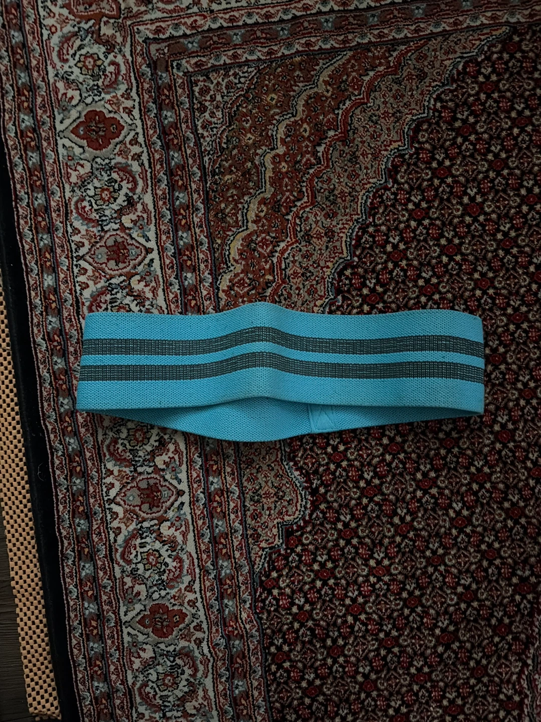 Light Blue Resistance Band