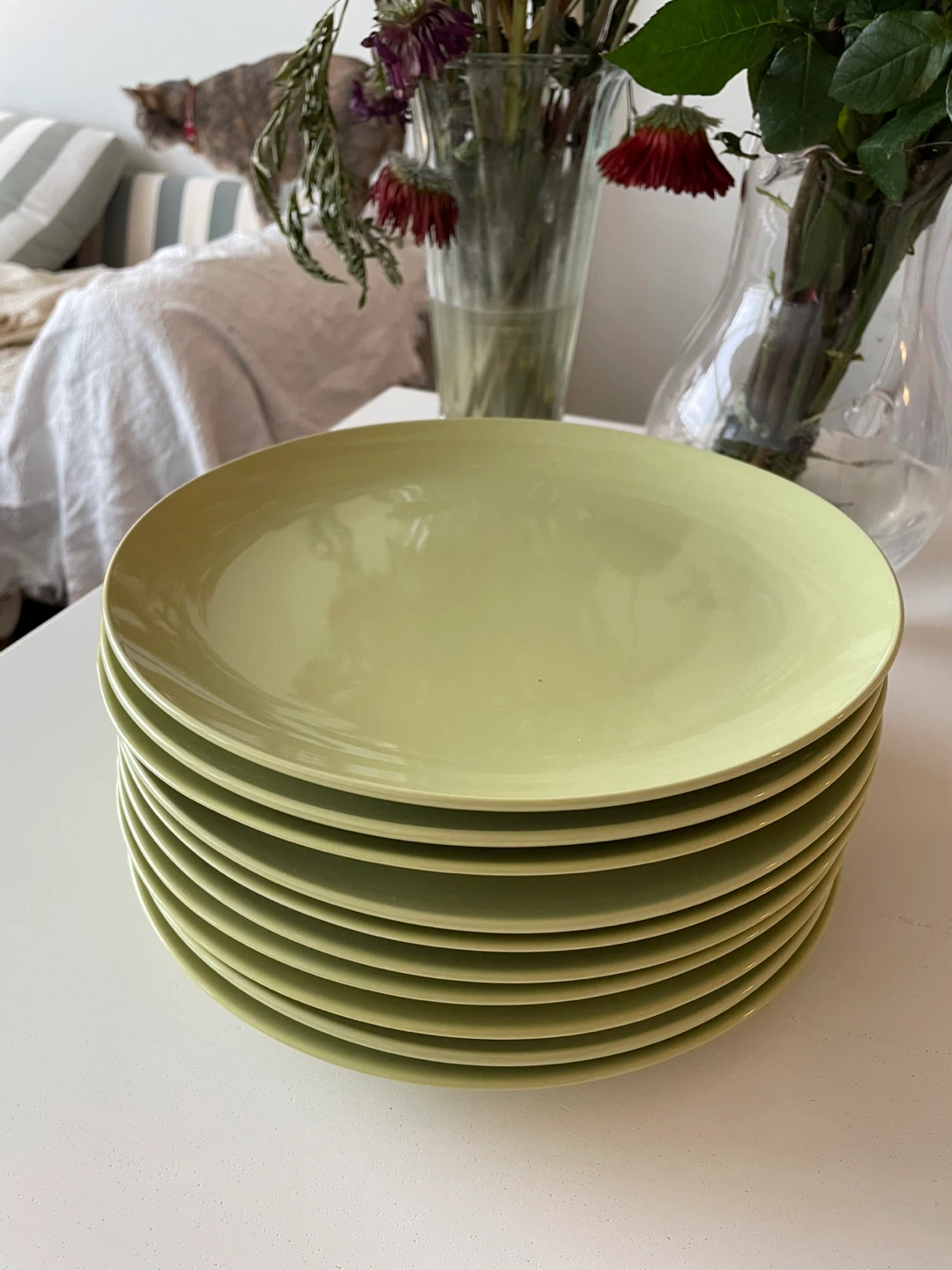 IKEA dinner plates x10 - photo 2