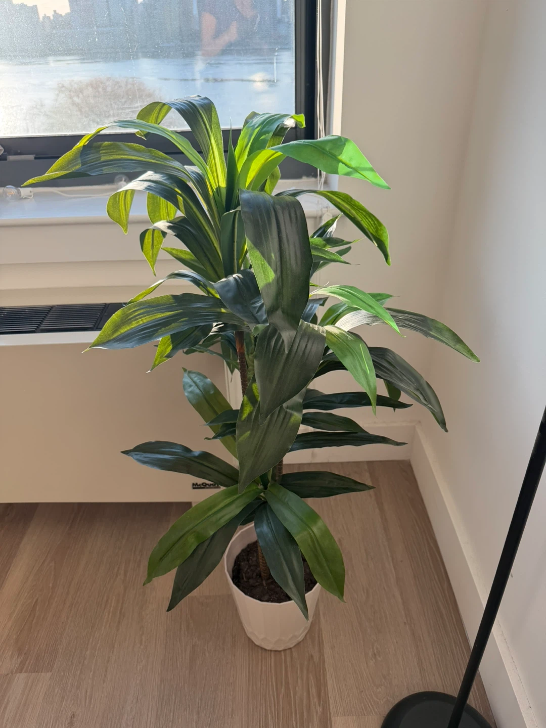 Artificial Dracaena plant (Natural looking)