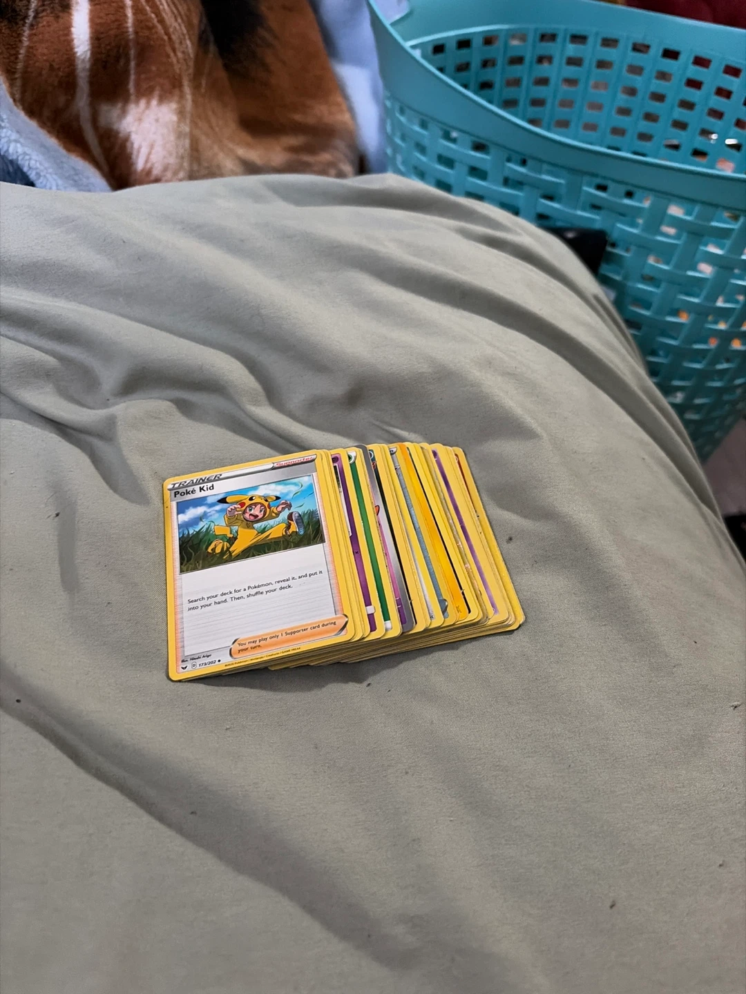 randomized pokémon trading cards