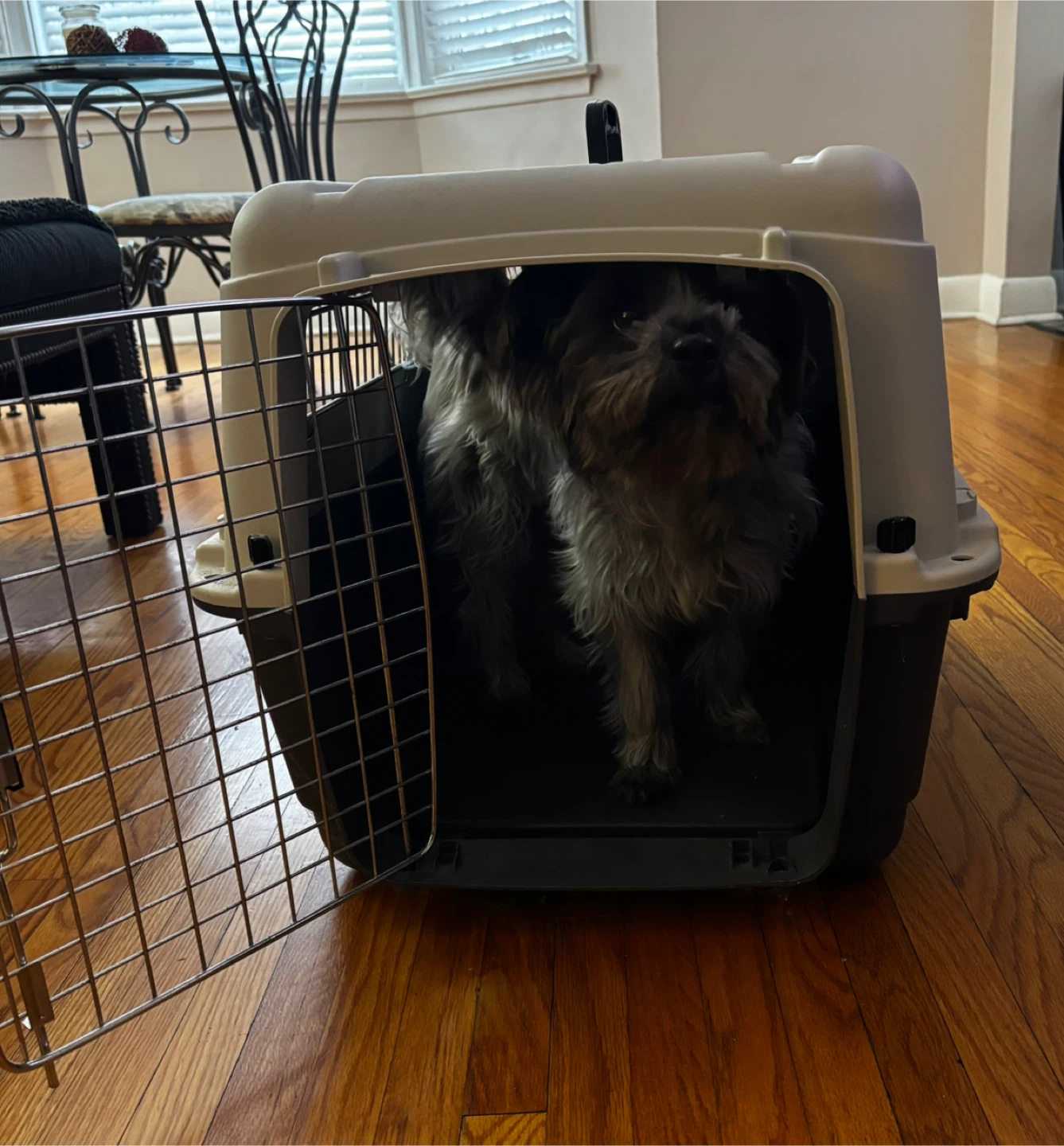 Plastic Pet Carrier - photo 3