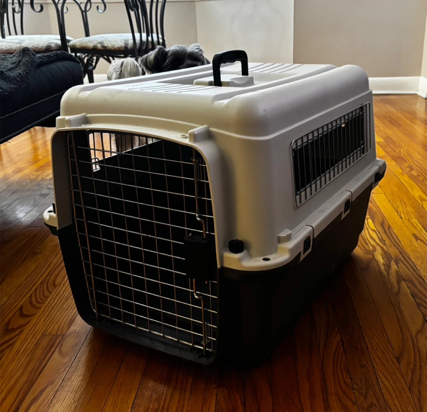 Plastic Pet Carrier