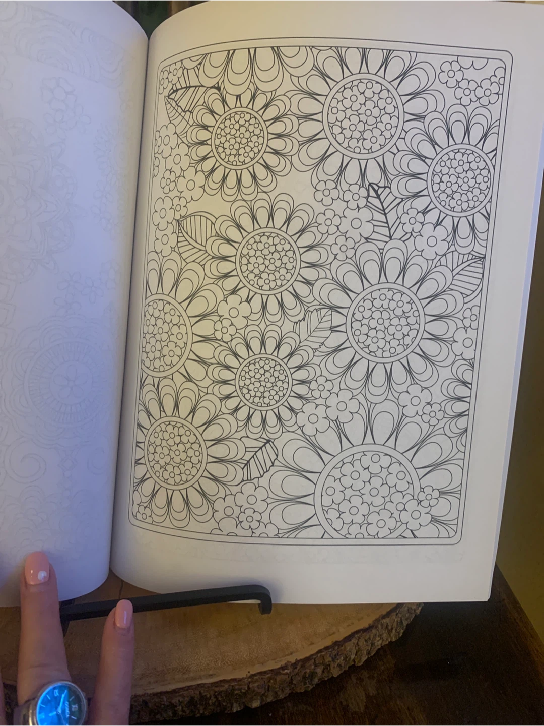 Flower Designs Colouring Book Volume 1 by Jenean Morrison - photo 4