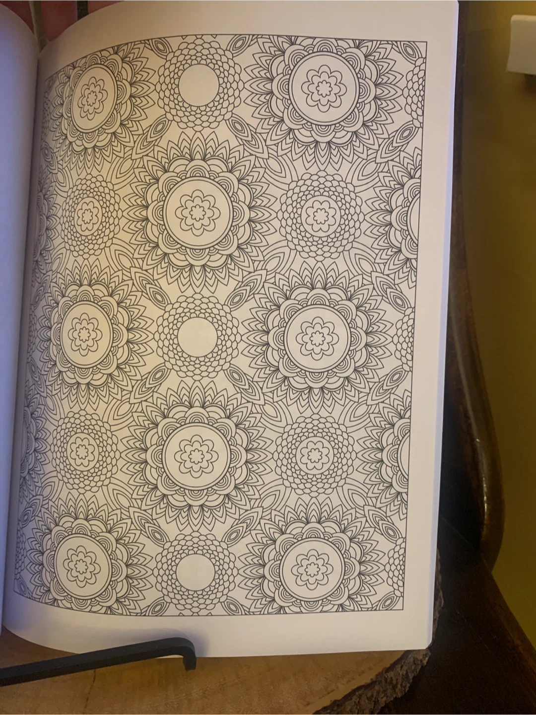 Flower Designs Colouring Book Volume 1 by Jenean Morrison - photo 5