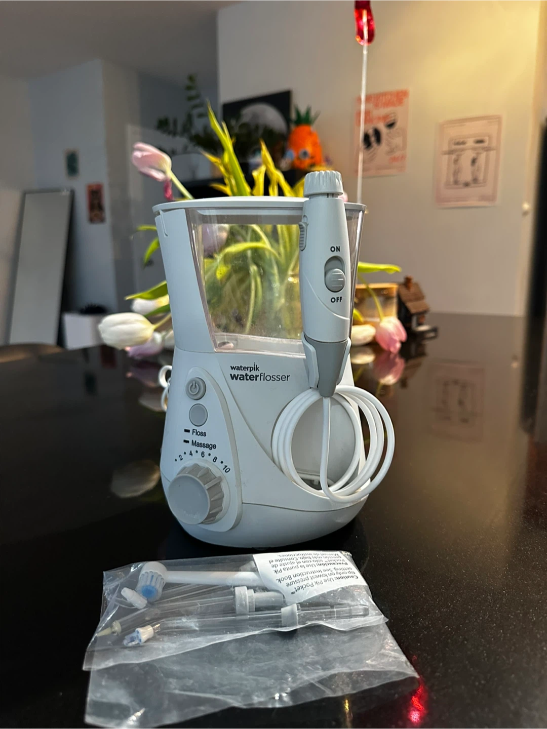 Waterpik Water Flosser