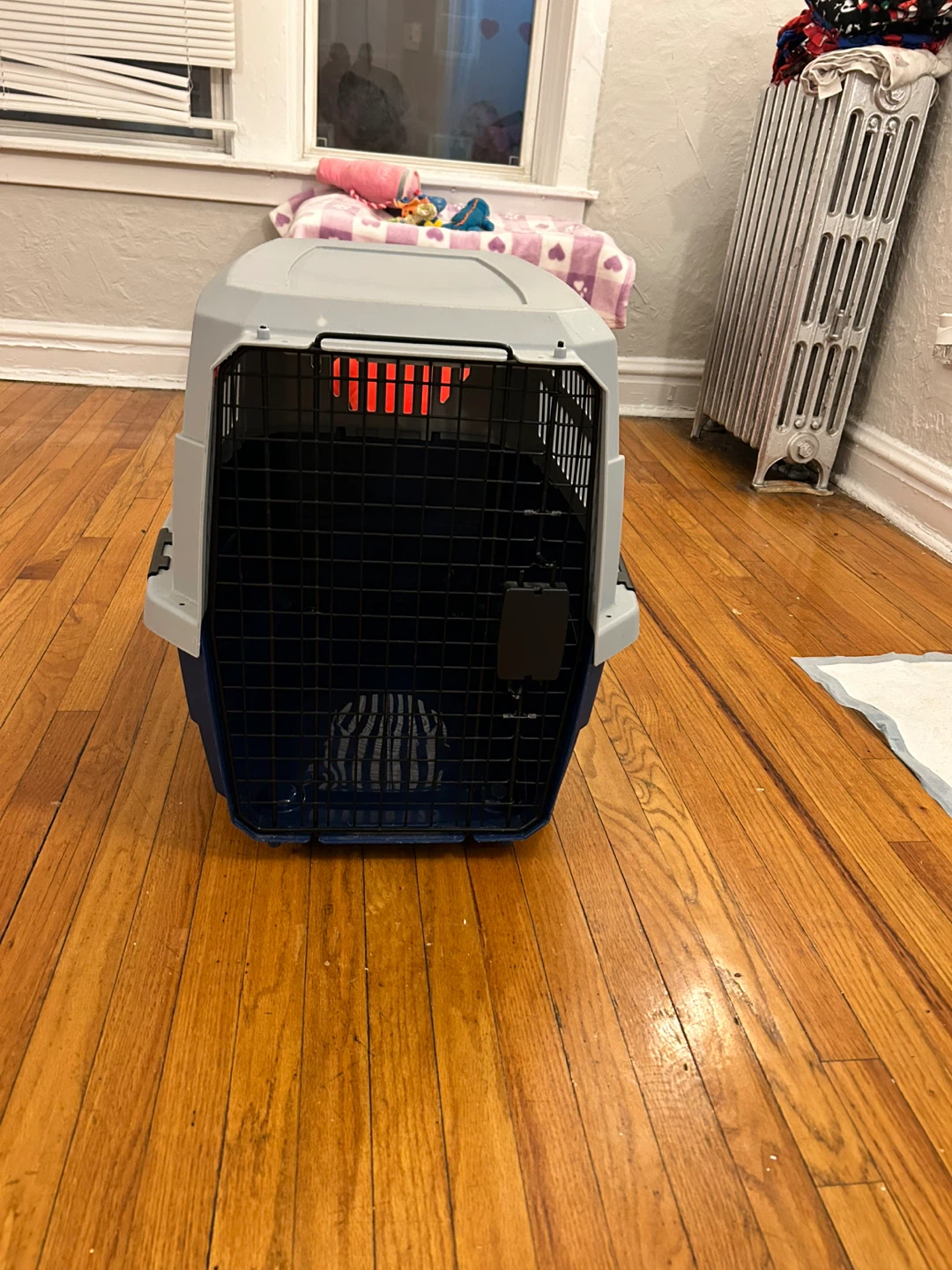 American Kennel Club Pet Carrier - photo 4